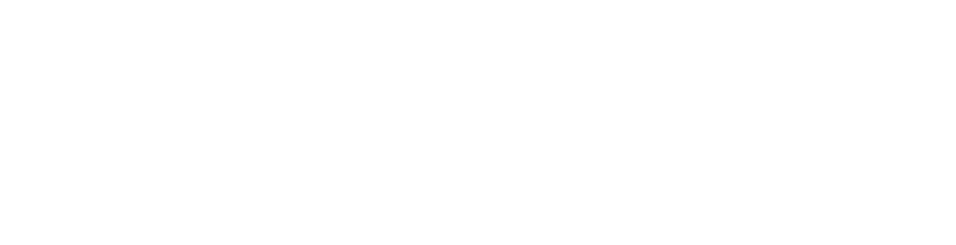FleTur